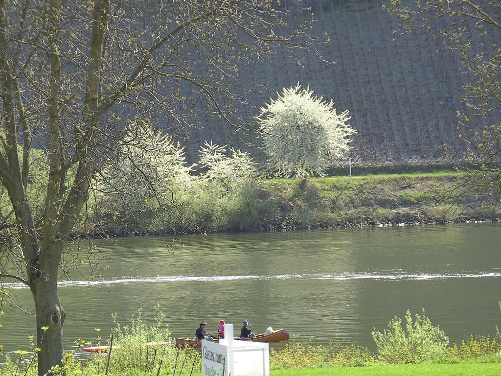 Haus Klosterblick Kröv Esterno foto