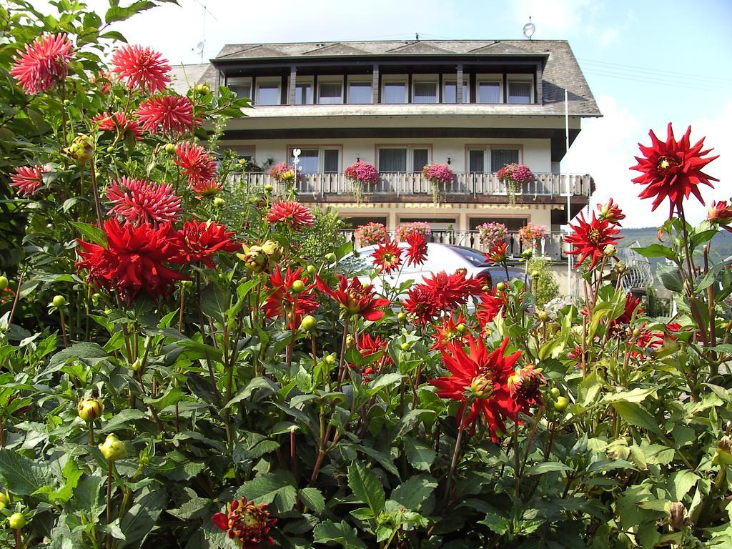 Haus Klosterblick Kröv Esterno foto
